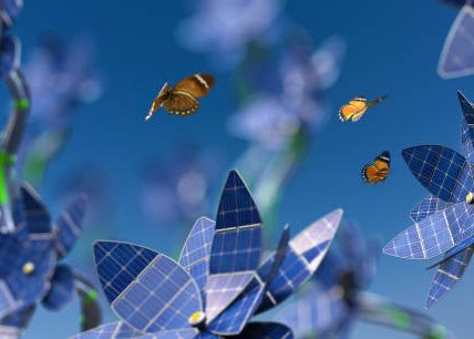 Top-Rated Solar Companies in Concord You Can Rely On