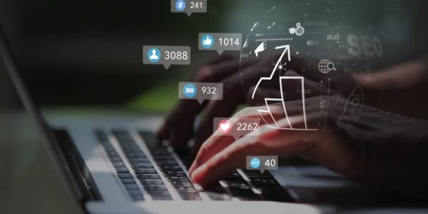 Why Businesses Trust David Bell SEO for Digital Success