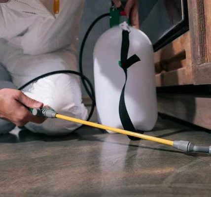 Affordable Pest Control Services for Homes in Ilford