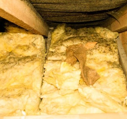 Why Homeowners Choose Us for Attic Insulation in Houston TX