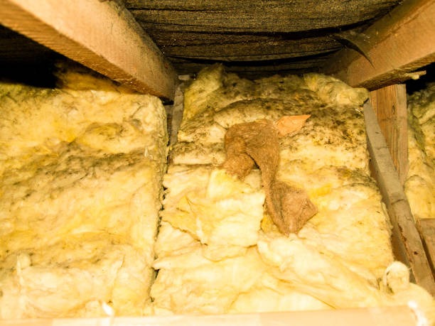 Why Homeowners Choose Us for Attic Insulation in Houston TX
