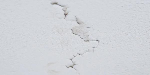 Why Timely Water Damage Restoration in Vancouver Saves You Money