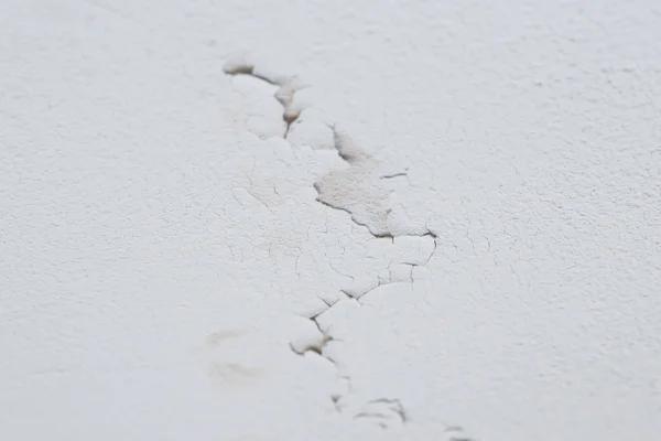 Why Timely Water Damage Restoration in Vancouver Saves You Money