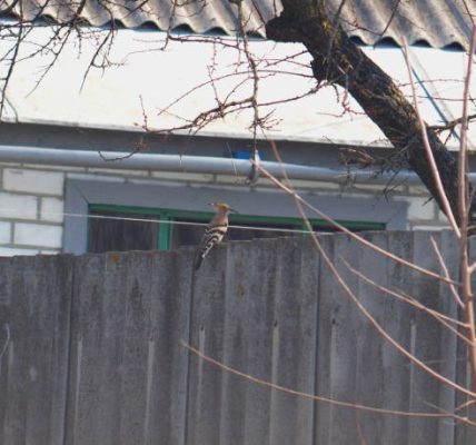 From Design to Installation Handling Custom Precast Concrete Elements