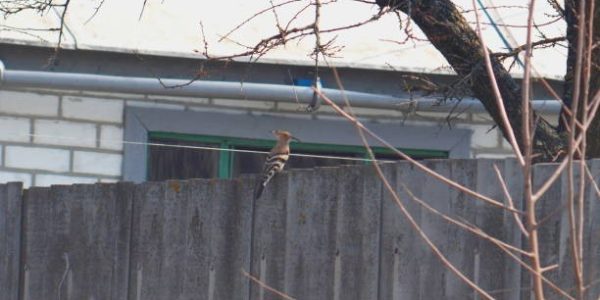 From Design to Installation Handling Custom Precast Concrete Elements