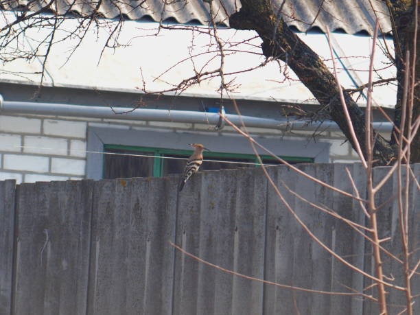 From Design to Installation Handling Custom Precast Concrete Elements