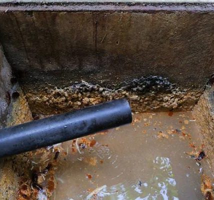 Loganville Septic Tank Service: Professional Repairs & Maintenance