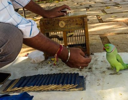 Top-Rated Best Tarot Reader in India & Best Astrologer in Guwahati You Can Rely On