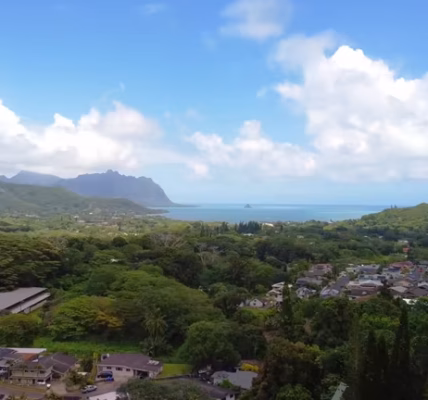 How to Plan the Perfect Trip to the Kaneohe Bay Sandbar