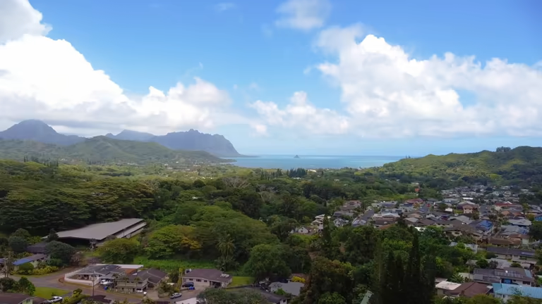 How to Plan the Perfect Trip to the Kaneohe Bay Sandbar