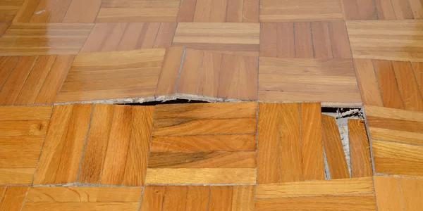 Water Damage Restoration Portland Oregon for Homes & Businesses