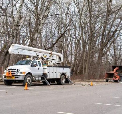 Tree Care Enterprises-Lake Geneva Quality Tree Removal & Trimming