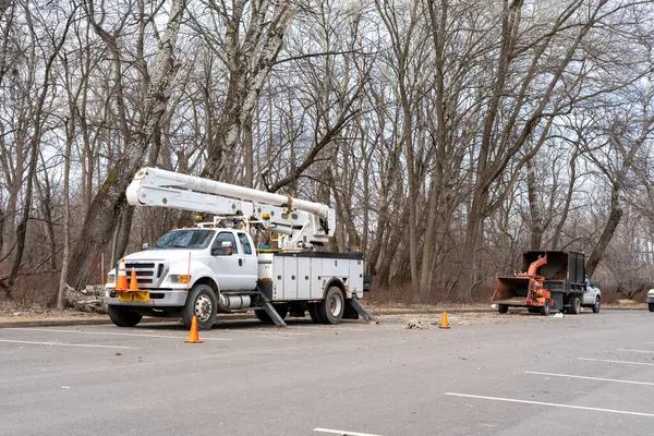 Tree Care Enterprises-Lake Geneva Quality Tree Removal & Trimming