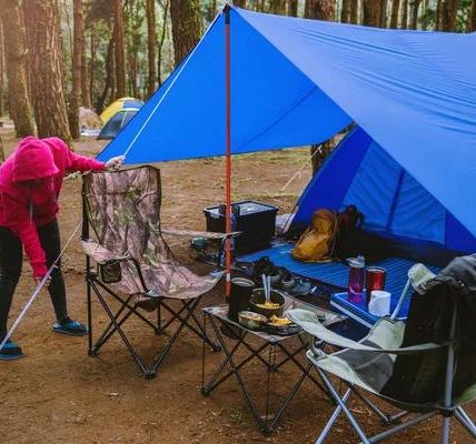 Public Adjusting Process Step-by-Step Guide for Policyholders