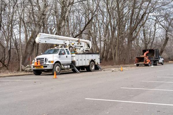 Madison Tree Pruning Tips for Stronger and Healthier Trees