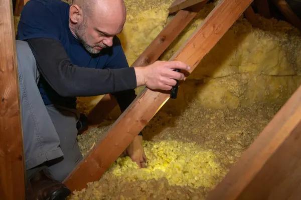 Why Hiring a Reliable Crawl Space Company Matters