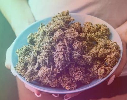 Trusted Places to Shop for THCA in Austin