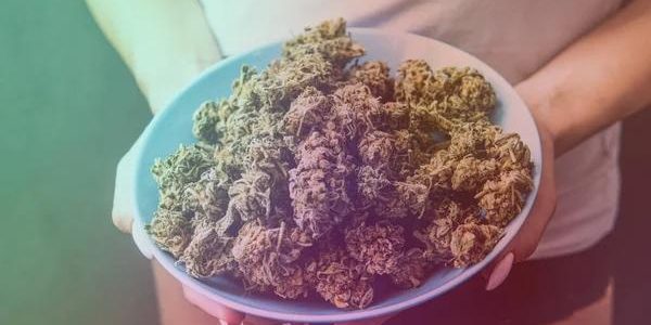 Trusted Places to Shop for THCA in Austin