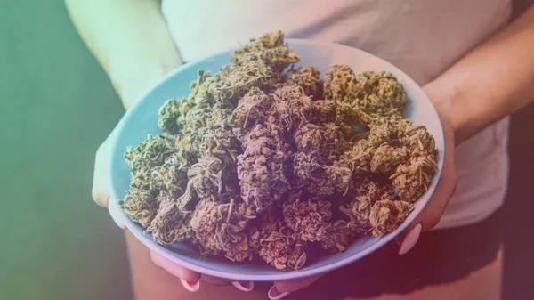 Trusted Places to Shop for THCA in Austin