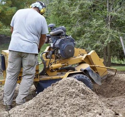 Everything You Need to Know About Stump Grinding Before a New Fence