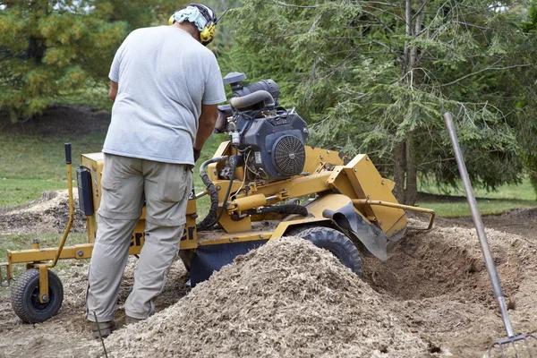 Everything You Need to Know About Stump Grinding Before a New Fence