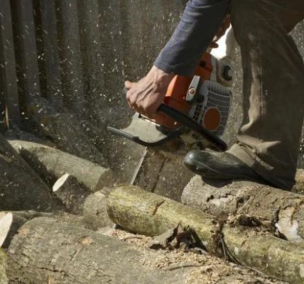Common Tree Problems and How Experts Solve Them