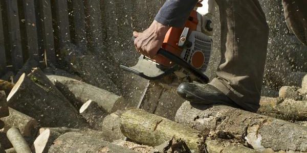 Common Tree Problems and How Experts Solve Them