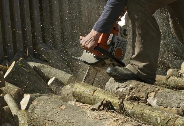 Common Tree Problems and How Experts Solve Them
