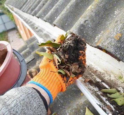 Dependable Glide Window Cleaning for Brighter Exteriors